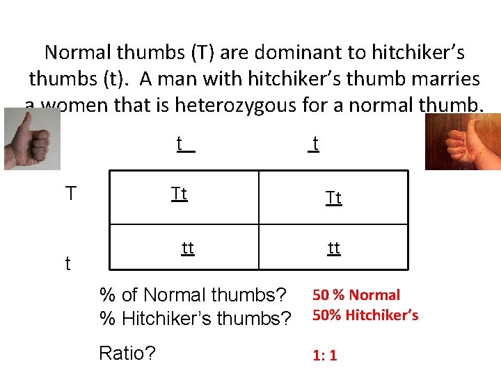 Normal thumbs (T) are dominant to hitchiker’s thumbs (t). A man with hitchiker’s thumb