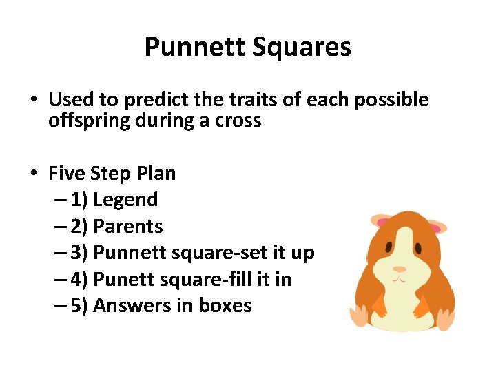 Punnett Squares • Used to predict the traits of each possible offspring during a