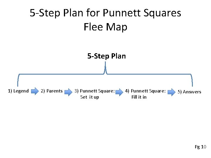 5 -Step Plan for Punnett Squares Flee Map 5 -Step Plan 1) Legend 2)