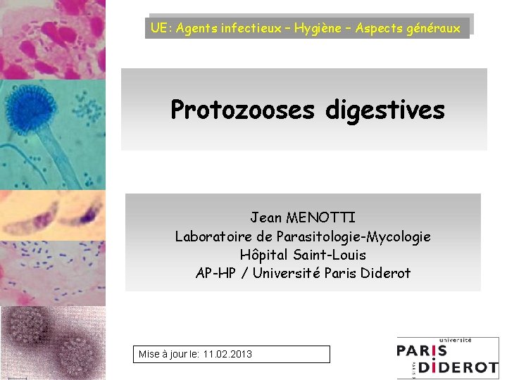 UE: Agents infectieux – Hygiène – Aspects généraux Protozooses digestives Jean MENOTTI Laboratoire de