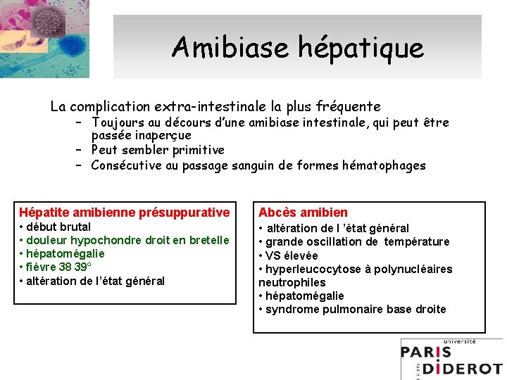 Amibiase hépatique La complication extra-intestinale la plus fréquente – Toujours au décours d’une amibiase