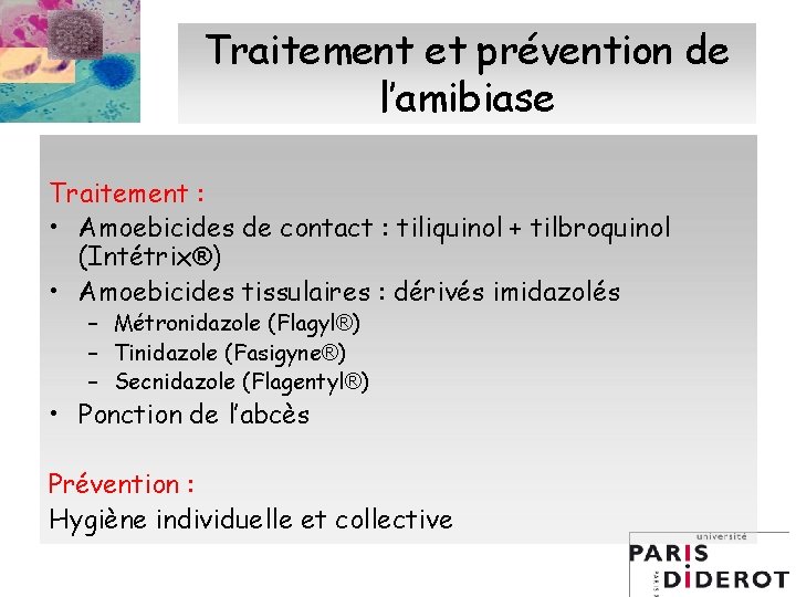 Traitement et prévention de l’amibiase Traitement : • Amoebicides de contact : tiliquinol +