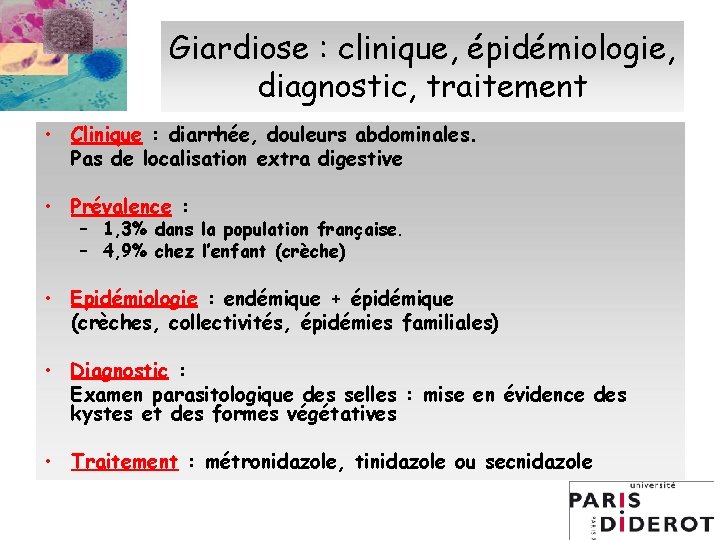 Giardiose : clinique, épidémiologie, diagnostic, traitement • Clinique : diarrhée, douleurs abdominales. Pas de