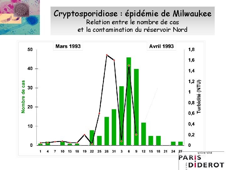 Cryptosporidiose : épidémie de Milwaukee Relation entre le nombre de cas et la contamination