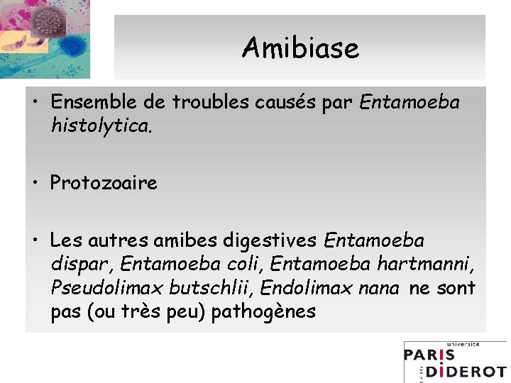 Amibiase • Ensemble de troubles causés par Entamoeba histolytica. • Protozoaire • Les autres