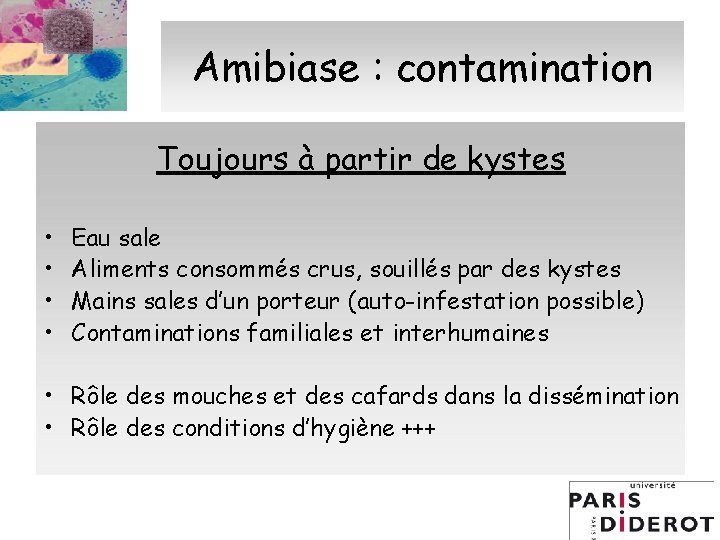 Amibiase : contamination Toujours à partir de kystes • • Eau sale Aliments consommés