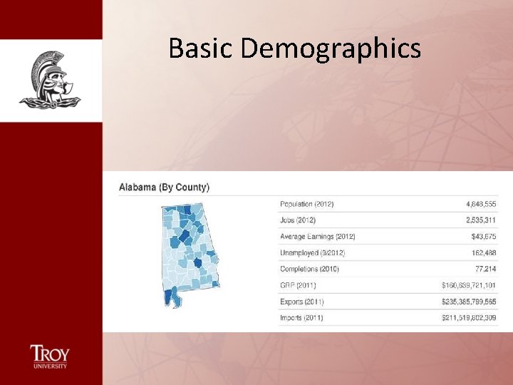 Basic Demographics 
