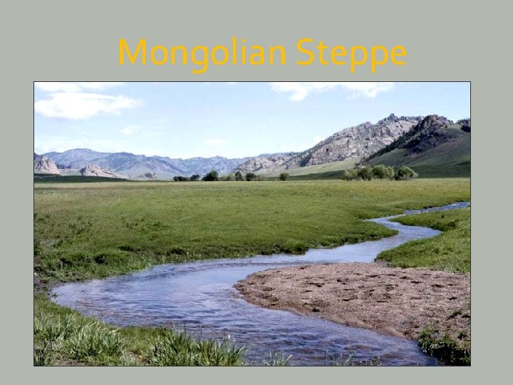 Mongolian Steppe 