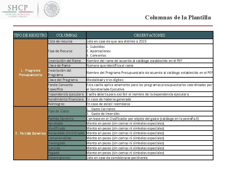 Columnas de la Plantilla TIPO DE REGISTRO COLUMNAS Ciclo de recurso Tipo de Recurso