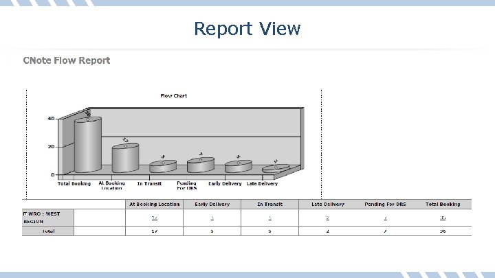 Report View 