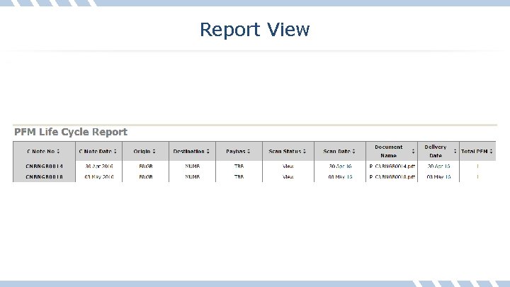 Report View 