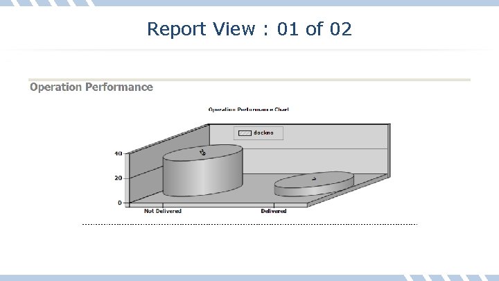 Report View : 01 of 02 