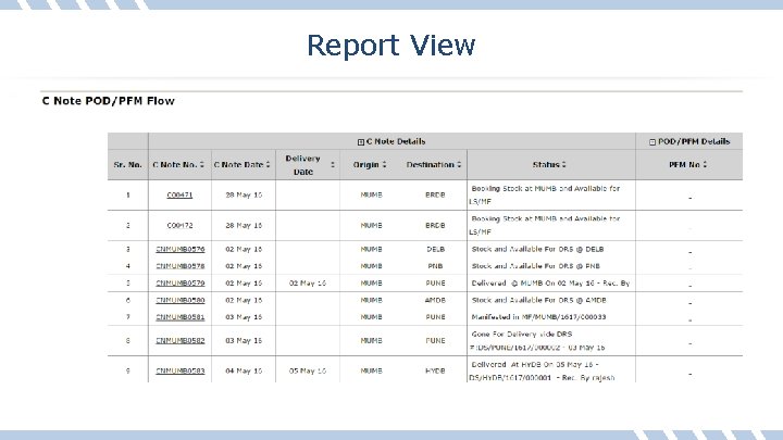 Report View 