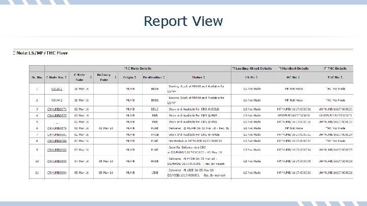 Report View 