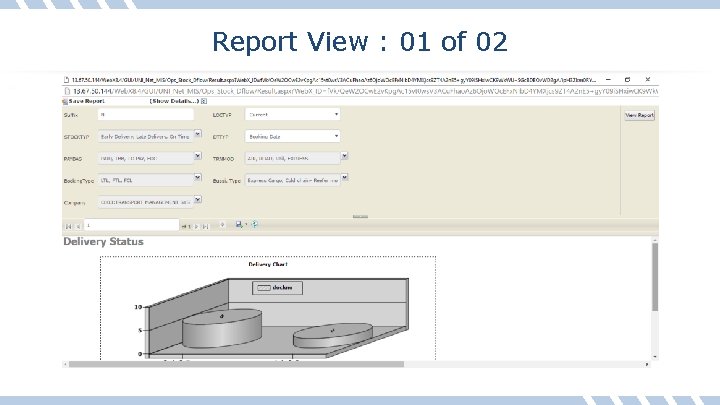 Report View : 01 of 02 