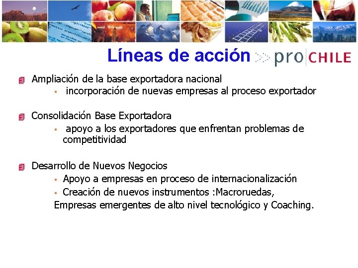 Líneas de acción 4 Ampliación de la base exportadora nacional § incorporación de nuevas