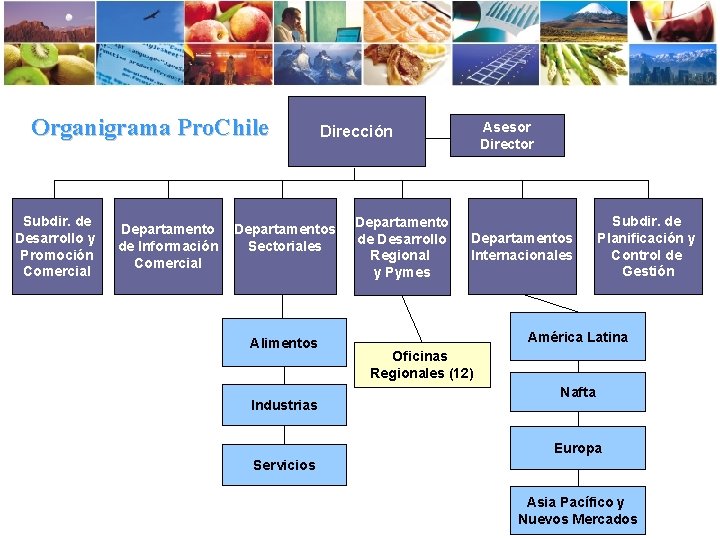 Organigrama Pro. Chile Subdir. de Desarrollo y Promoción Comercial Departamento de Información Comercial Departamentos