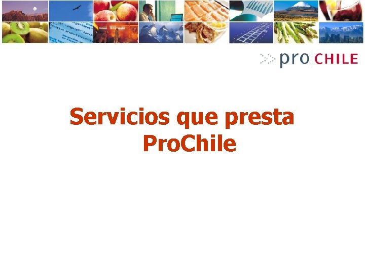 Servicios que presta Pro. Chile 