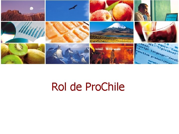 Rol de Pro. Chile 