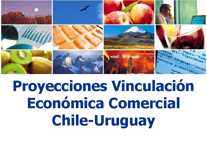 Proyecciones Vinculación Económica Comercial Chile-Uruguay 