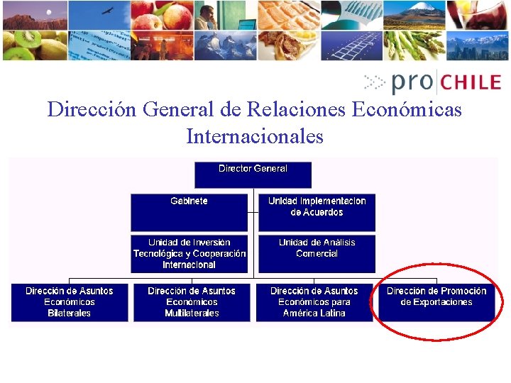 Dirección General de Relaciones Económicas Internacionales 