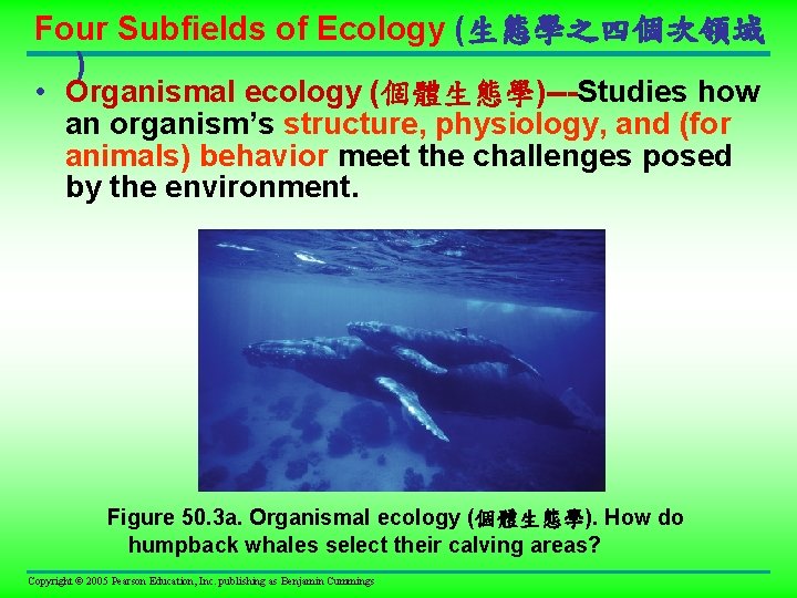 Four Subfields of Ecology (生態學之四個次領域 ) • Organismal ecology (個體生態學)---Studies how an organism’s structure,