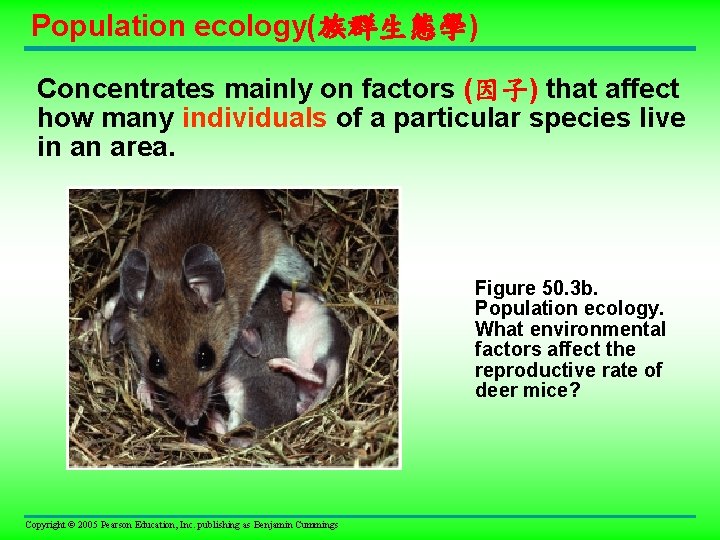 Population ecology(族群生態學) Concentrates mainly on factors (因子) that affect how many individuals of a Population ecology(族群生態學) Concentrates mainly on factors (因子) that affect how many individuals of a