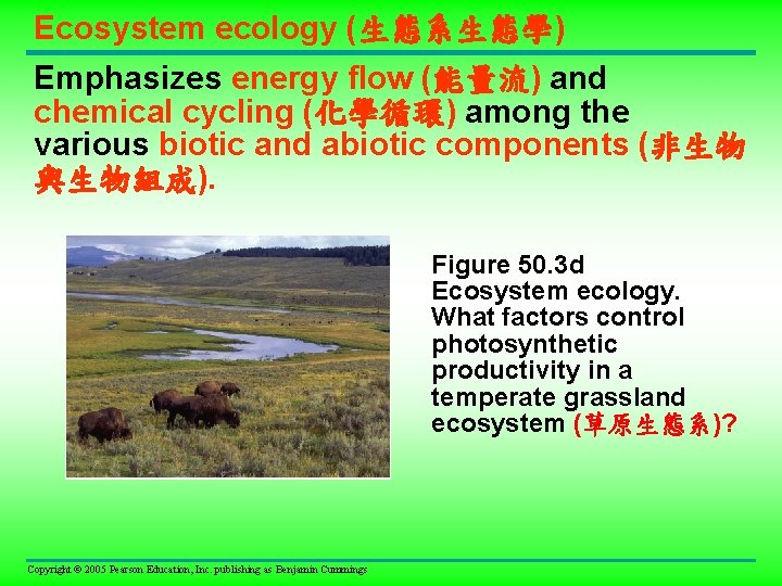 Ecosystem ecology (生態系生態學) Emphasizes energy flow (能量流) and chemical cycling (化學循環) among the various