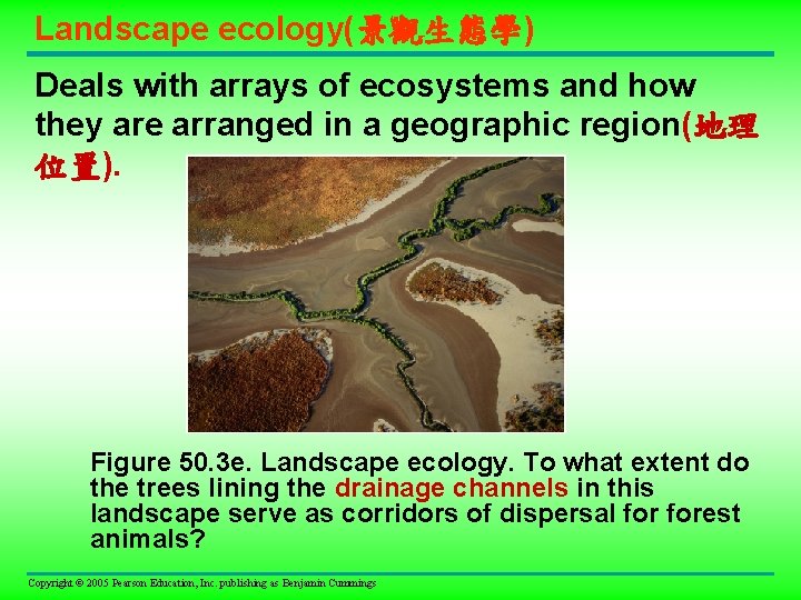 Landscape ecology(景觀生態學) Deals with arrays of ecosystems and how they are arranged in a