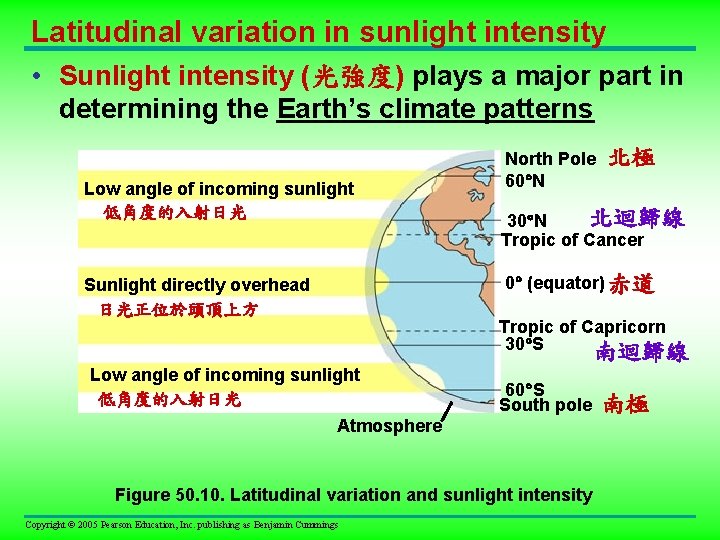 Latitudinal variation in sunlight intensity • Sunlight intensity (光強度) plays a major part in