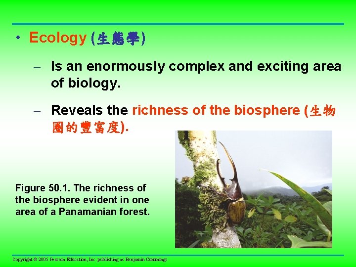  • Ecology (生態學) – Is an enormously complex and exciting area of biology.