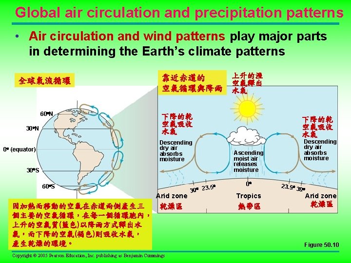 Global air circulation and precipitation patterns • Air circulation and wind patterns play major