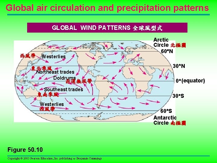 Global air circulation and precipitation patterns GLOBAL WIND PATTERNS 全球風型式 西風帶 Westerlies Arctic Circle