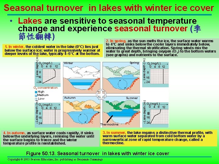 Seasonal turnover in lakes with winter ice cover • Lakes are sensitive to seasonal