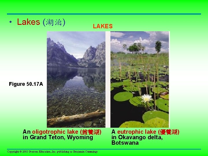  • Lakes (湖泊) LAKES Figure 50. 17 A An oligotrophic lake (貧養湖) in