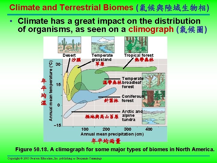 Climate and Terrestrial Biomes (氣候與陸域生物相) • Climate has a great impact on the distribution