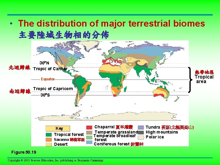  • The distribution of major terrestrial biomes 主要陸域生物相的分佈 北迴歸線 30 N Tropic of