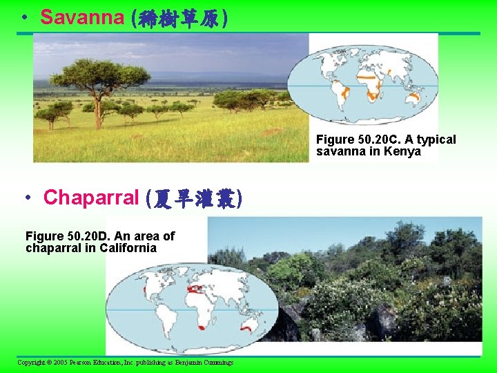  • Savanna (稀樹草原) Figure 50. 20 C. A typical savanna in Kenya •