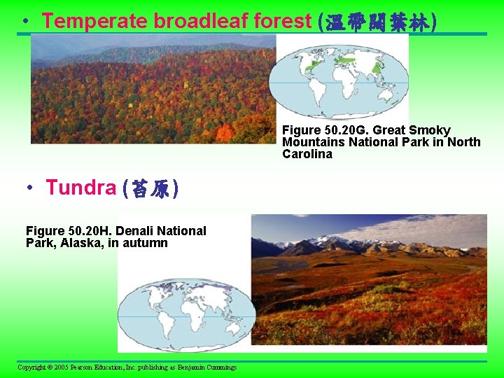  • Temperate broadleaf forest (溫帶闊葉林) Figure 50. 20 G. Great Smoky Mountains National