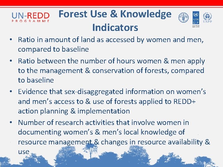 Forest Use & Knowledge Indicators • Ratio in amount of land as accessed by