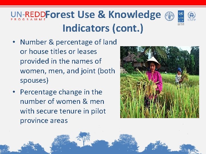 Forest Use & Knowledge Indicators (cont. ) • Number & percentage of land or