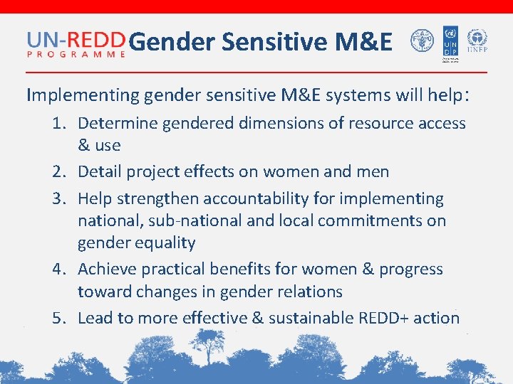 Gender Sensitive M&E Implementing gender sensitive M&E systems will help: 1. Determine gendered dimensions
