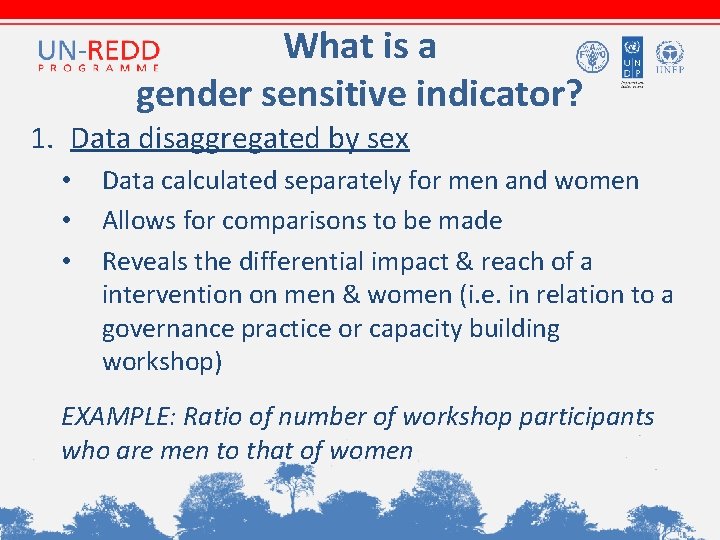 What is a gender sensitive indicator? 1. Data disaggregated by sex • • •