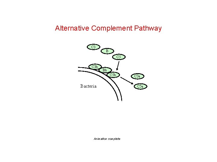 Unless Otherwise Noted The Content Of This Course