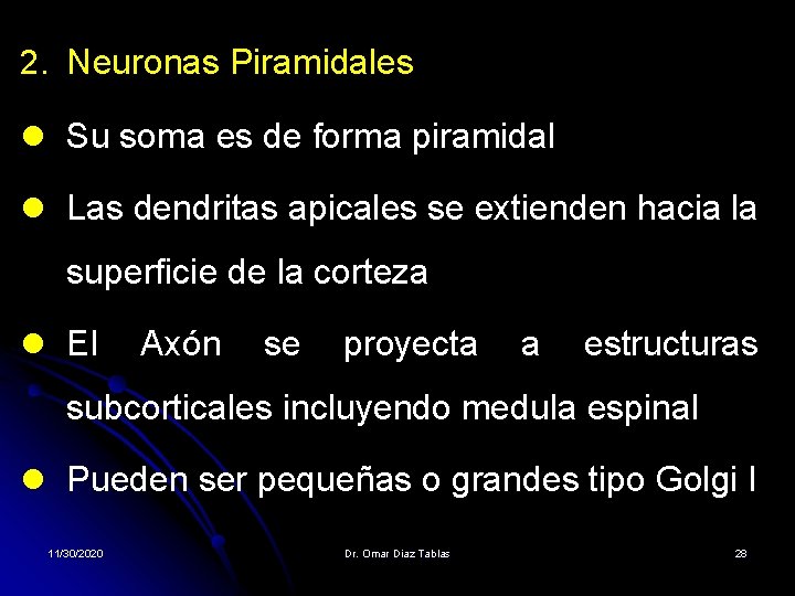 2. Neuronas Piramidales l Su soma es de forma piramidal l Las dendritas apicales 2. Neuronas Piramidales l Su soma es de forma piramidal l Las dendritas apicales