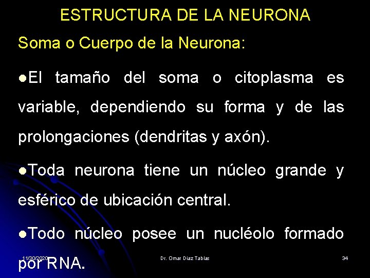 ESTRUCTURA DE LA NEURONA Soma o Cuerpo de la Neurona: l. El tamaño del ESTRUCTURA DE LA NEURONA Soma o Cuerpo de la Neurona: l. El tamaño del