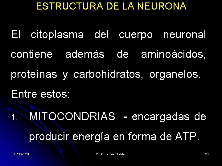 ESTRUCTURA DE LA NEURONA El citoplasma del cuerpo neuronal contiene además de aminoácidos, proteínas ESTRUCTURA DE LA NEURONA El citoplasma del cuerpo neuronal contiene además de aminoácidos, proteínas