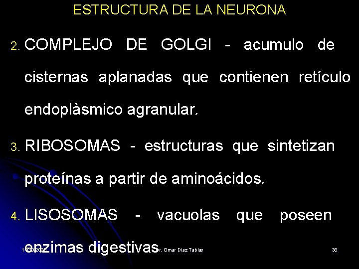 ESTRUCTURA DE LA NEURONA 2. COMPLEJO DE GOLGI - acumulo de cisternas aplanadas que ESTRUCTURA DE LA NEURONA 2. COMPLEJO DE GOLGI - acumulo de cisternas aplanadas que