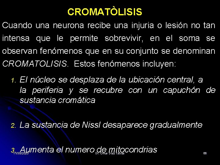 CROMATÒLISIS Cuando una neurona recibe una injuria o lesión no tan intensa que le CROMATÒLISIS Cuando una neurona recibe una injuria o lesión no tan intensa que le