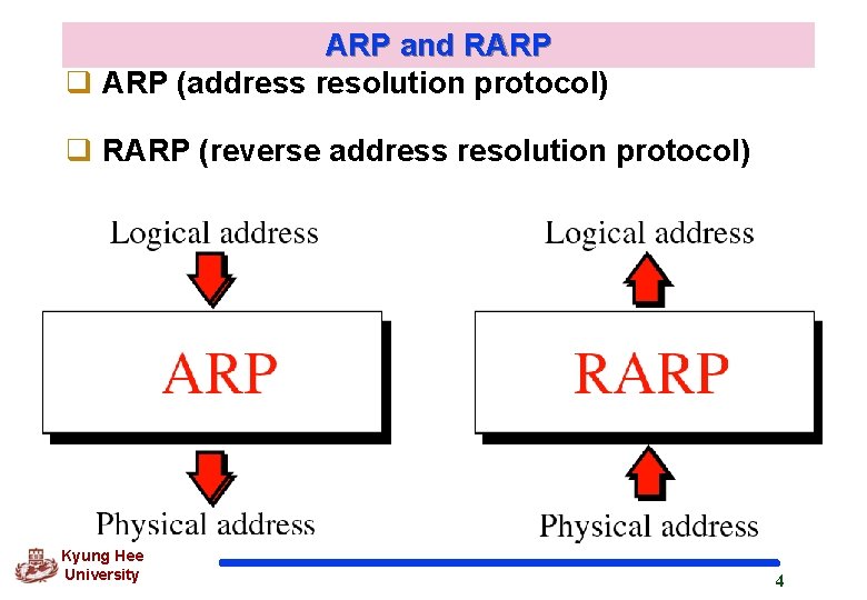 ARP and RARP q ARP (address resolution protocol) q RARP (reverse address resolution protocol) ARP and RARP q ARP (address resolution protocol) q RARP (reverse address resolution protocol)